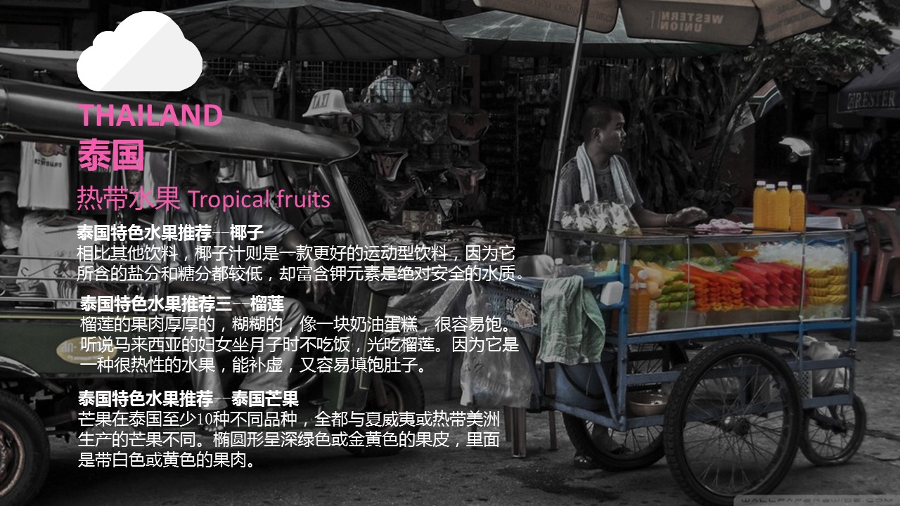 商务.旅游景点东南亚国家旅游攻略PPT模板——图文的PPT模板-6/17
