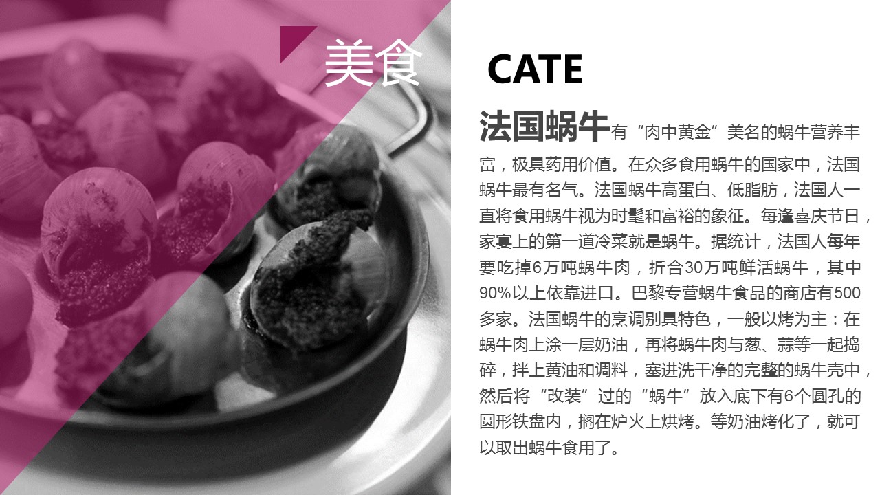 商务.旅游景点精品-欧洲旅行人文介绍PPT模板——图文的PPT模板-5/23
