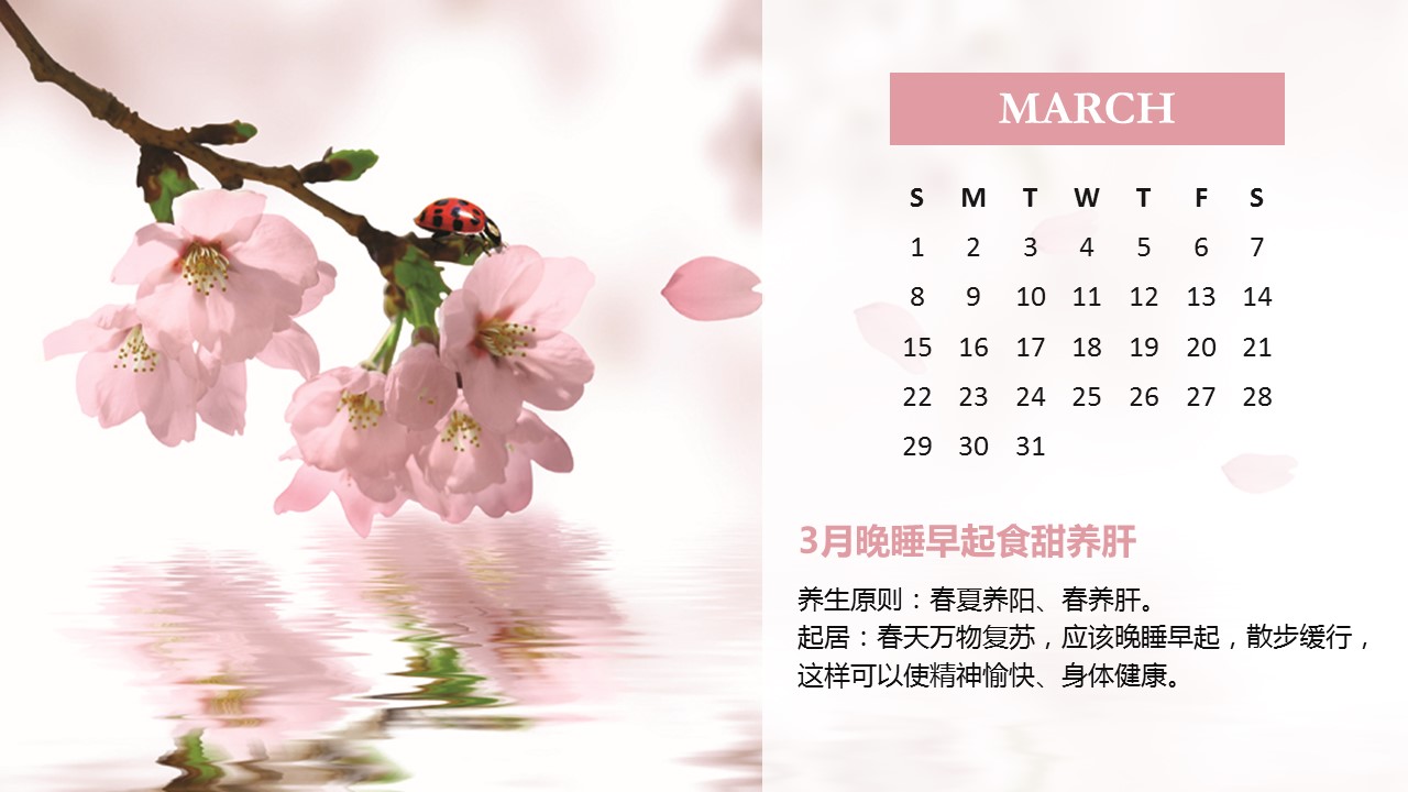 商务.读书生活精品-好看的2015年PPT日历——图文的PPT模板-4/18