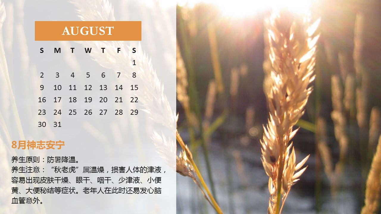 商务.读书生活精品-好看的2015年PPT日历——图文的PPT模板-9/18