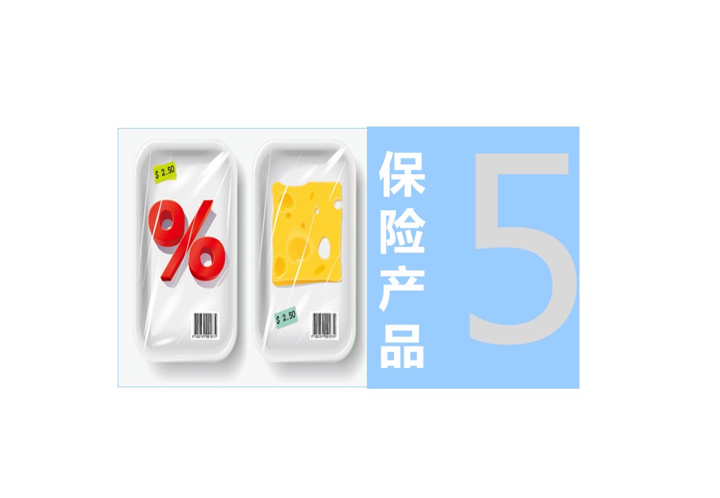 商务.银行金融个人投资理财方法介绍PPT模板——图文的PPT模板-10/21