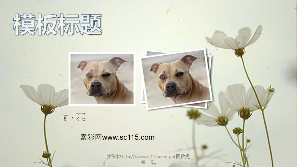 商务.图文花样年华53611ecc010f0的PPT模板-3/9