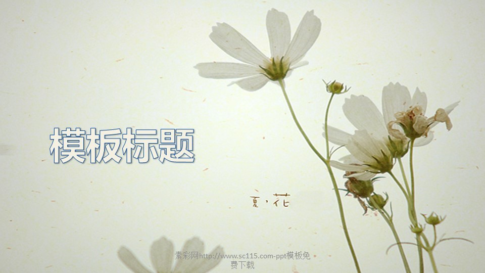 商务.图文花样年华53611ecc010f0的PPT模板-1/9