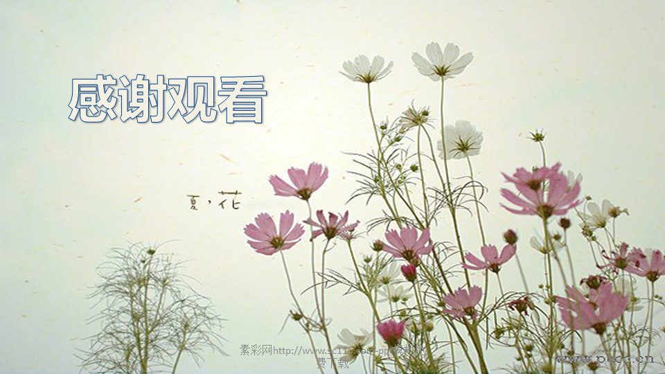 商务.图文花样年华53611ecc010f0的PPT模板-4/9