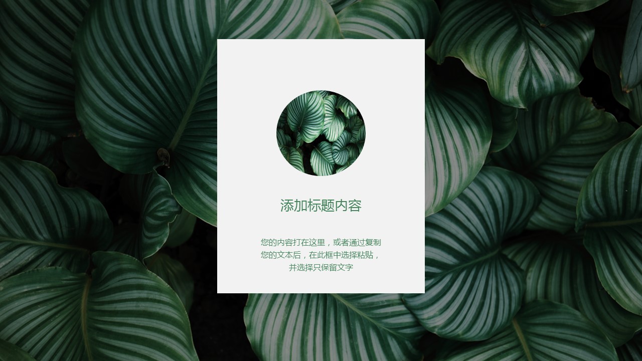 商务.PPT模板19的PPT模板-4/33