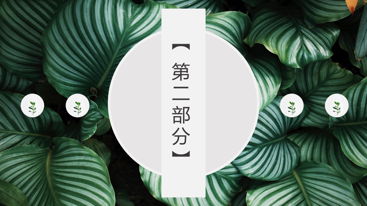商务.PPT模板19的PPT模板-8/33