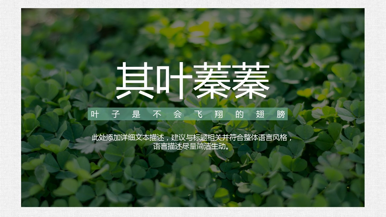 商务.PPT模板20的PPT模板-4/28