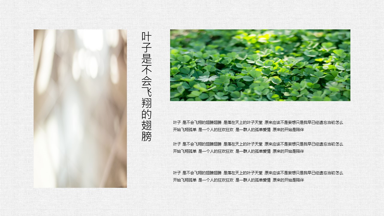 商务.PPT模板20的PPT模板-9/28