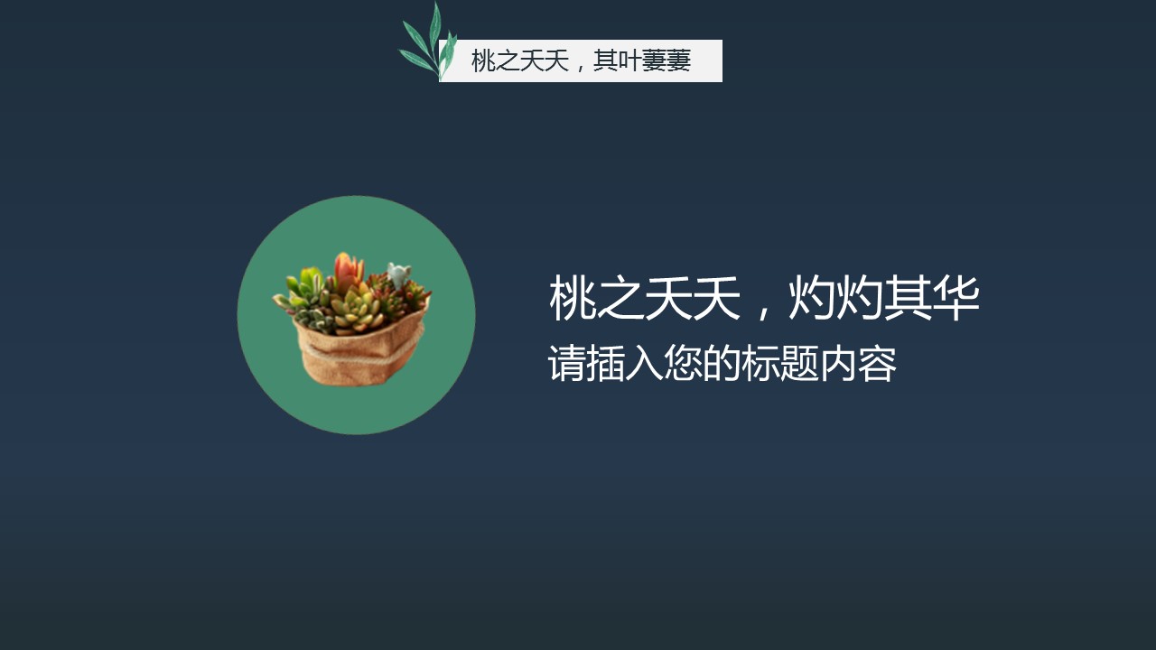 商务.PPT模板24的PPT模板-4/28