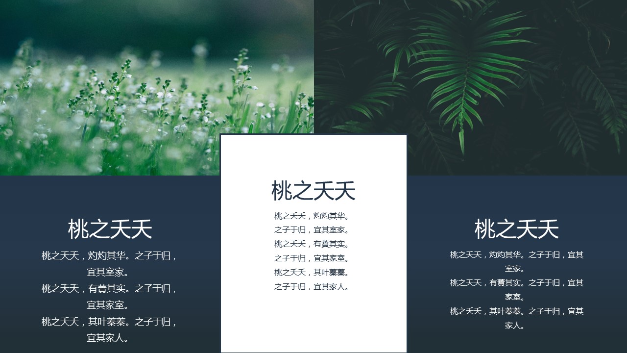 商务.PPT模板24的PPT模板-9/28