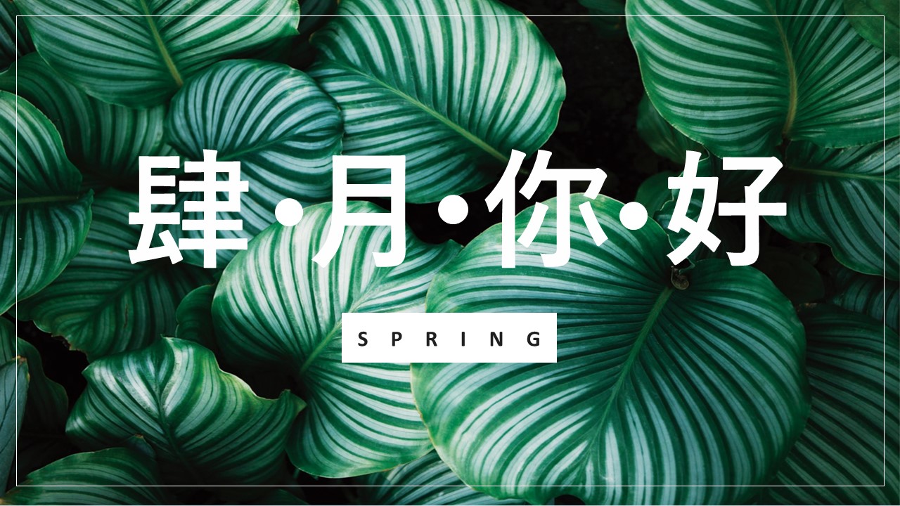 商务.PPT模板76的PPT模板-1/29