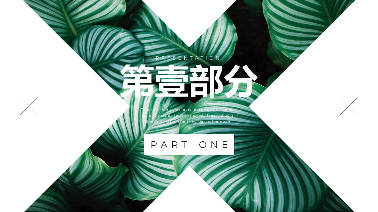 商务.PPT模板76的PPT模板-3/29