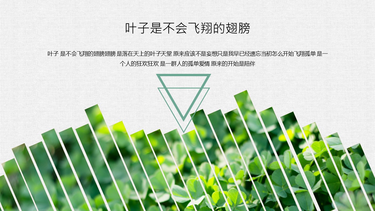 商务.PPT模板20的PPT模板-6/28