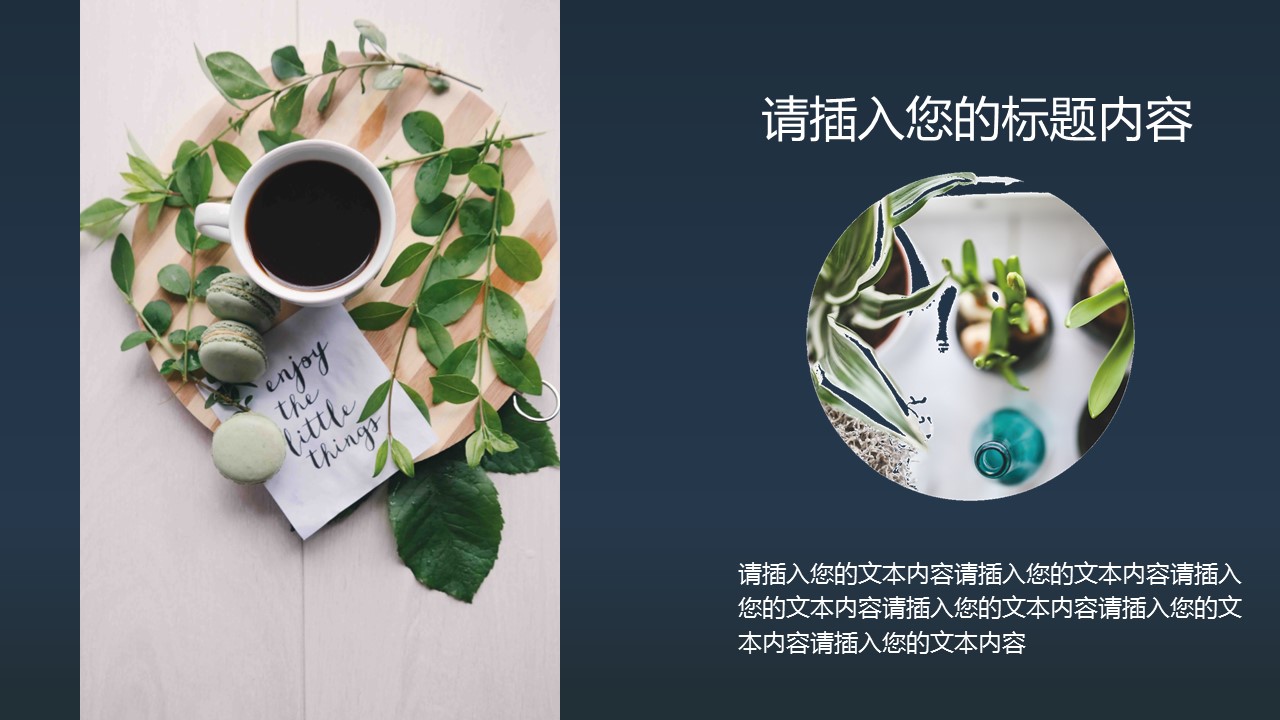 商务.PPT模板24的PPT模板-5/28