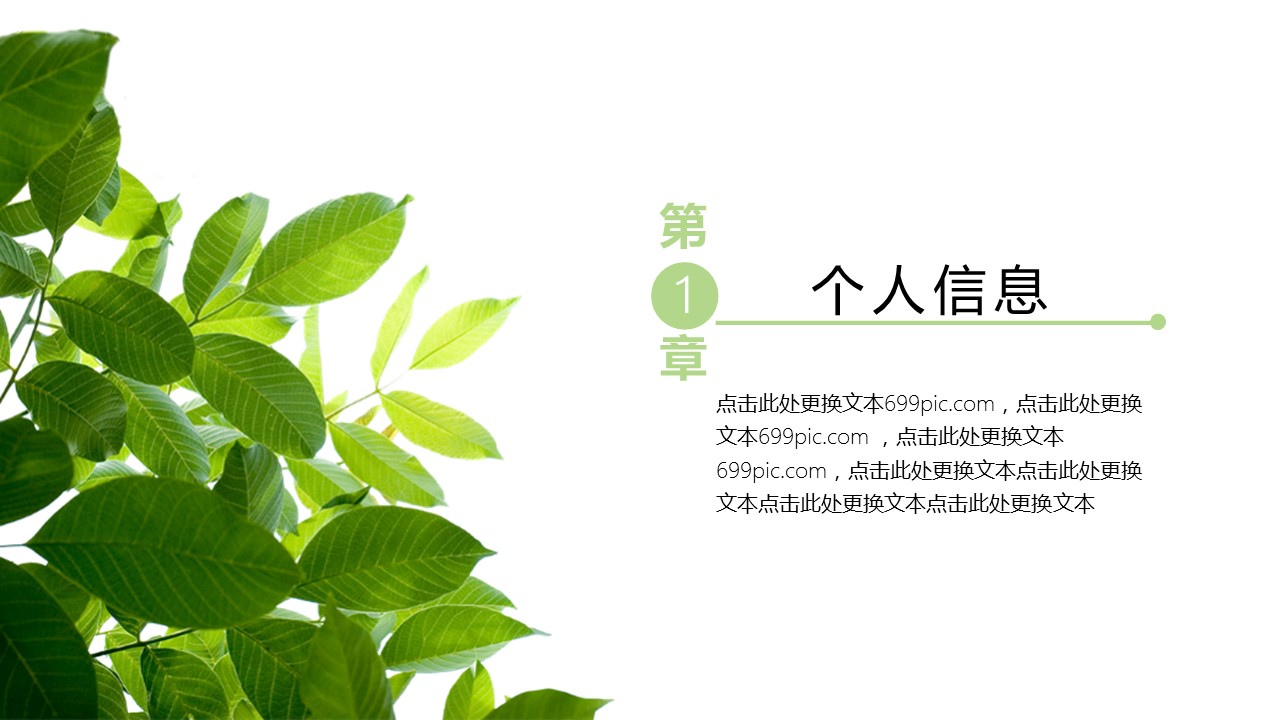 商务.PPT模板67的PPT模板-3/29