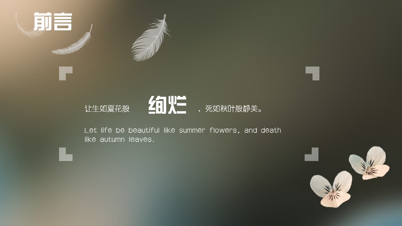 商务.文艺14的PPT模板-2/15