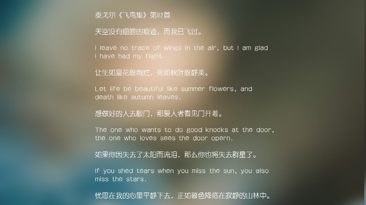 商务.文艺14的PPT模板-10/15