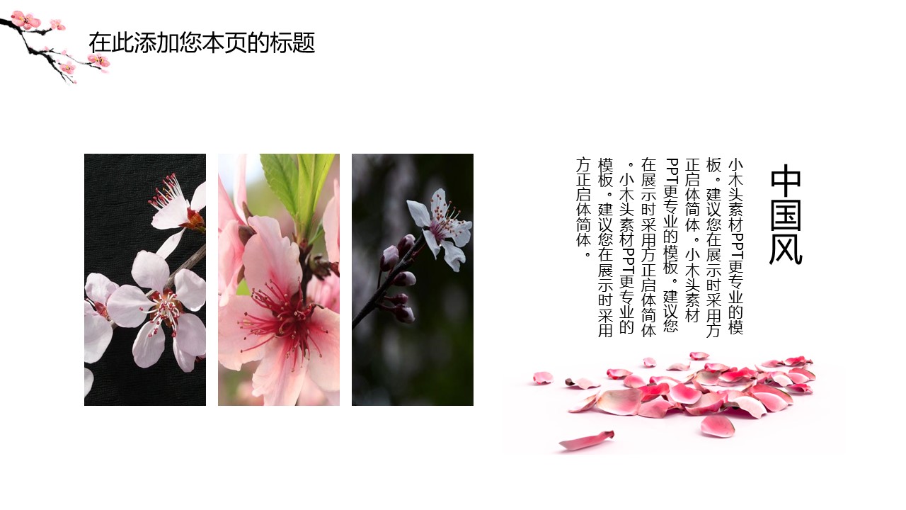 商务.桃花系列2的PPT模板-10/32