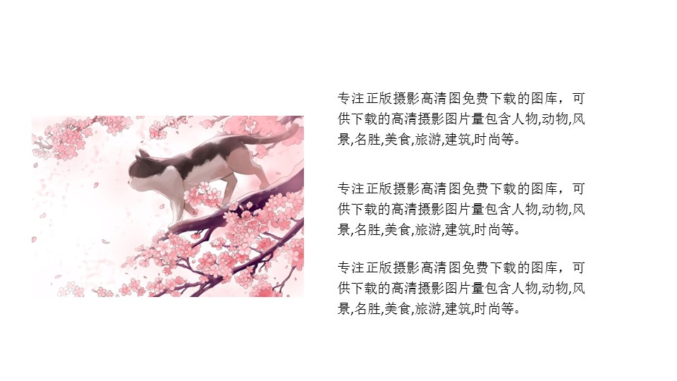 商务.桃花系列35的PPT模板-5/28