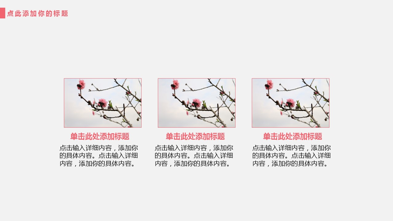 商务.桃花系列41的PPT模板-10/23