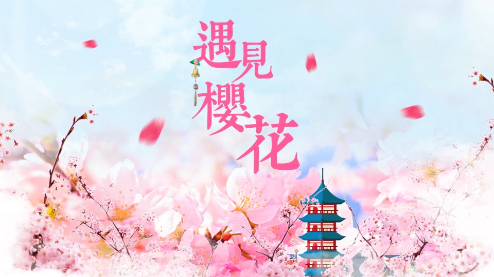商务.桃花系列56的PPT模板-1/36