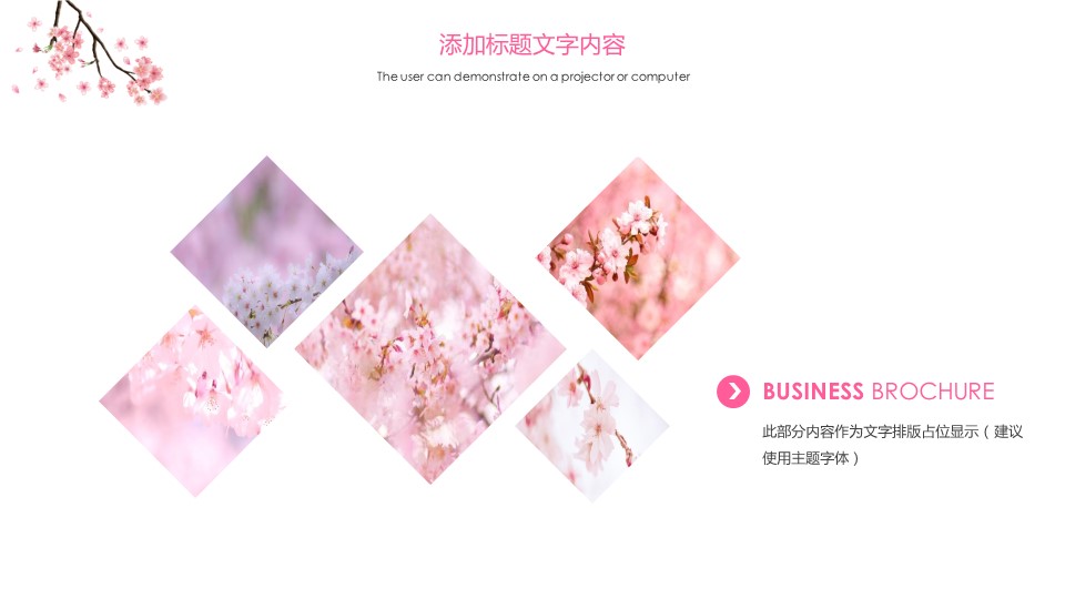 商务.桃花系列56的PPT模板-7/36