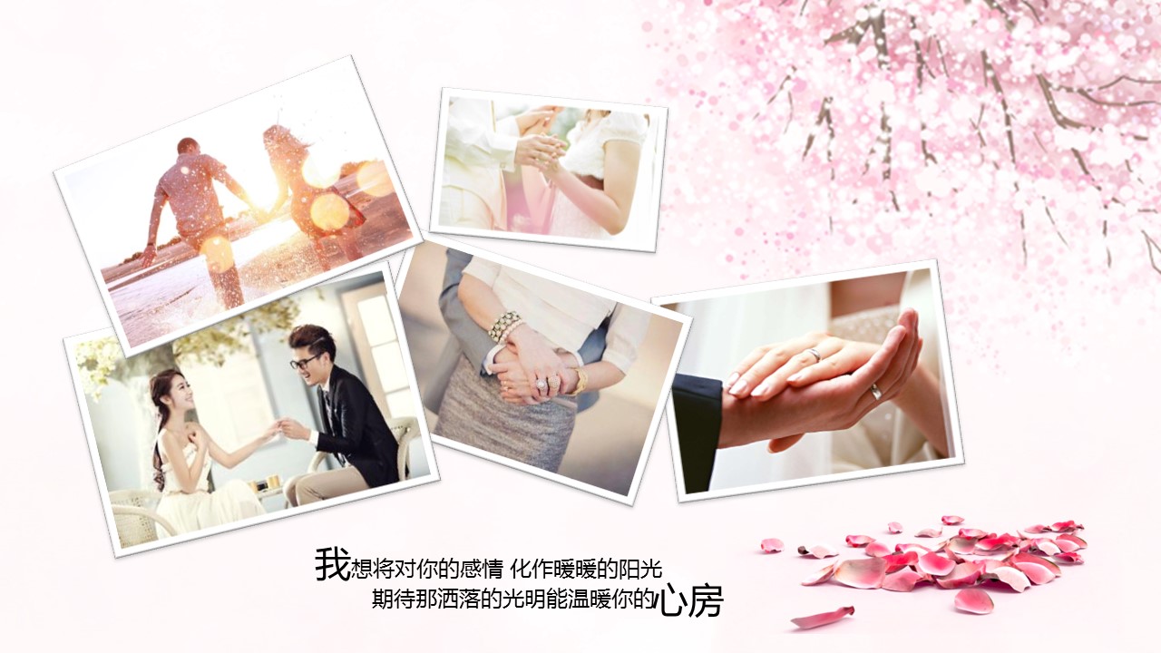 商务.桃花系列64的PPT模板-5/24