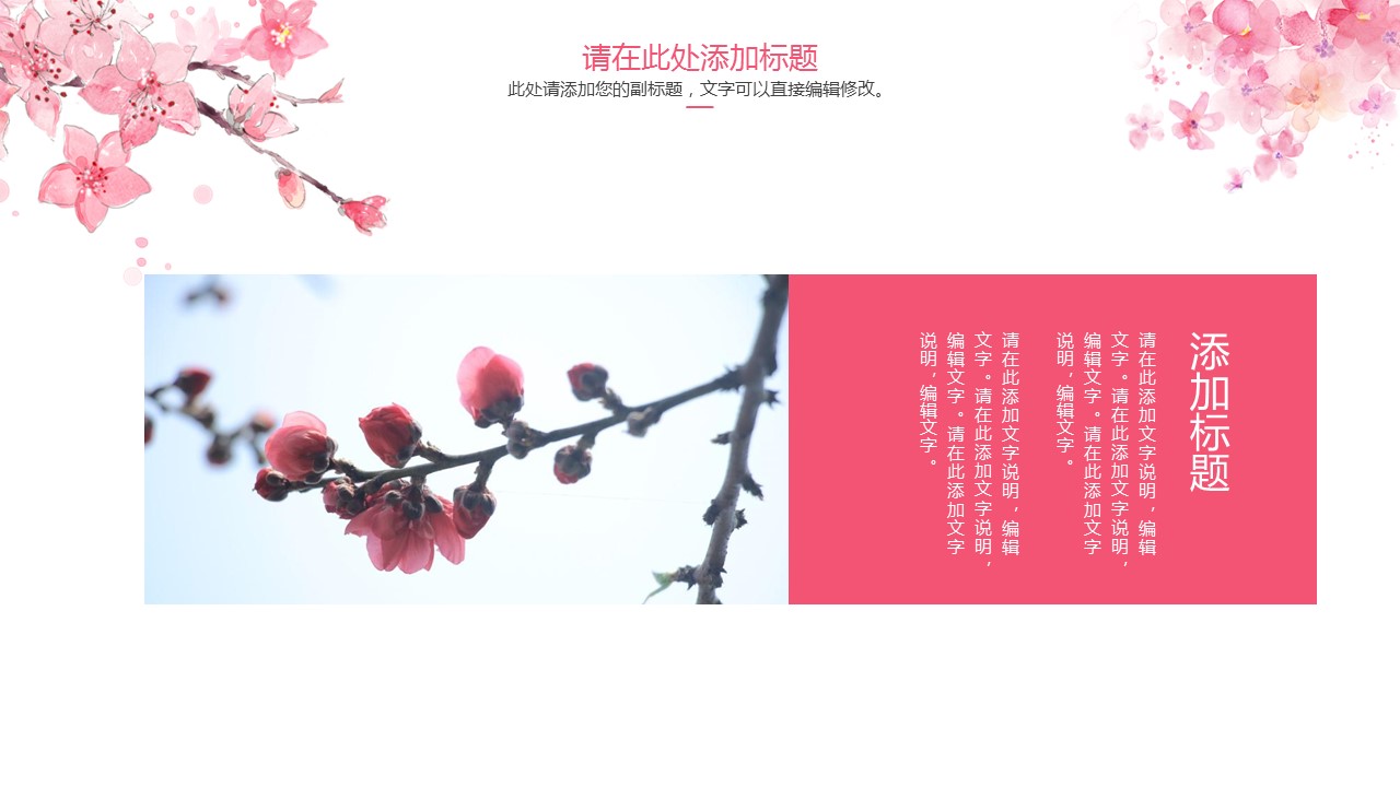 商务.桃花系列图文83的PPT模板-4/26