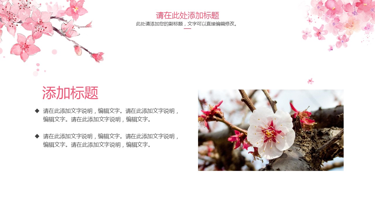 商务.桃花系列图文83的PPT模板-9/26