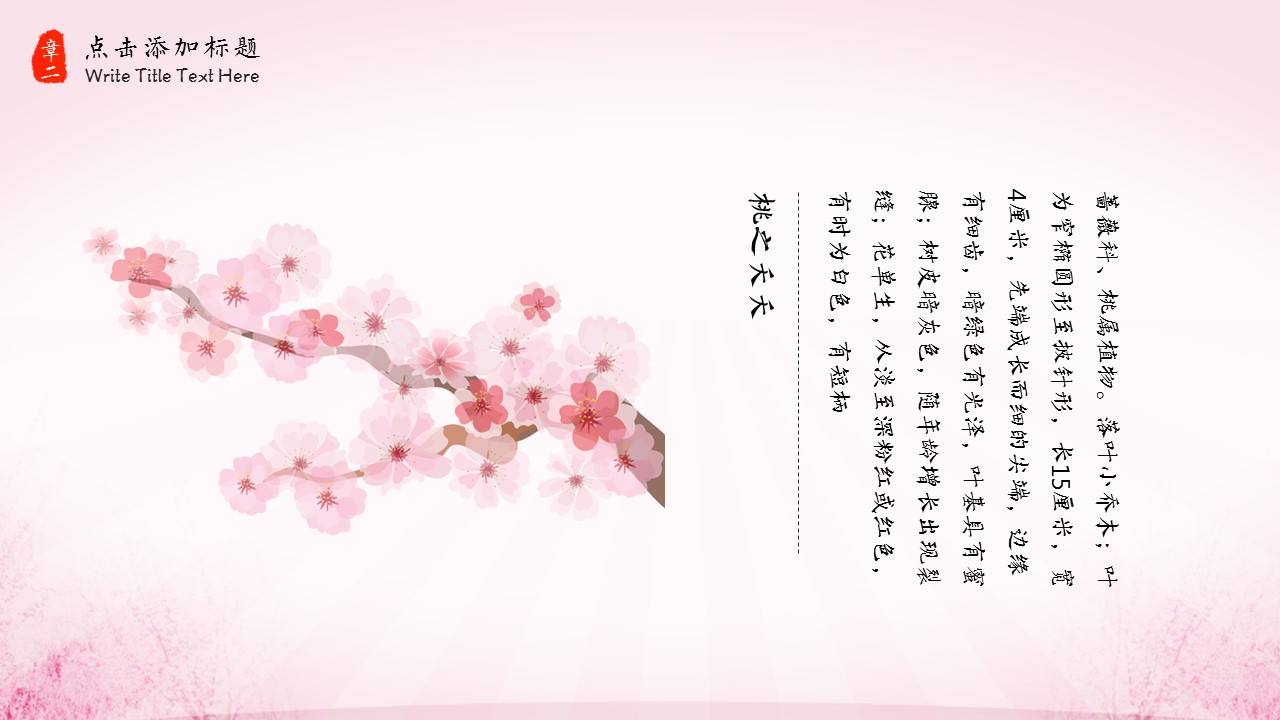 商务.桃花系列图文95的PPT模板-9/28