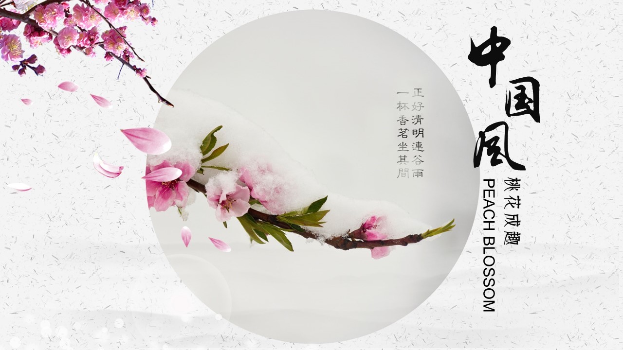 商务.桃花系列图文98的PPT模板-1/33