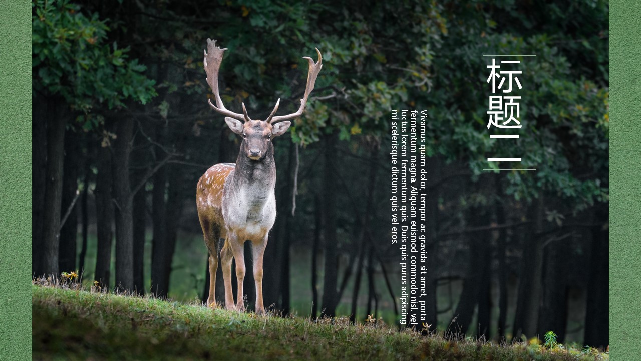 商务.PPT源文件1的PPT模板-8/29