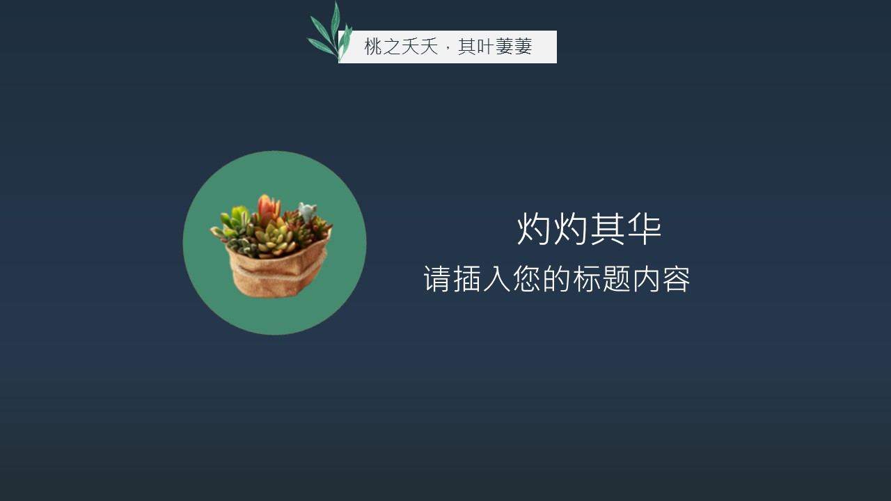 商务.PPT源文件2的PPT模板-4/28