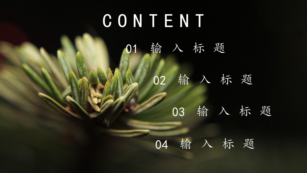 商务.PPT源文件27的PPT模板-2/29