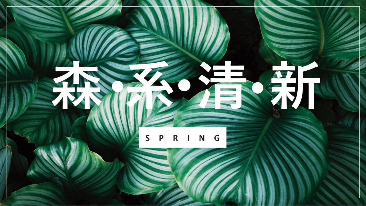 商务.PPT源文件4的PPT模板-1/29