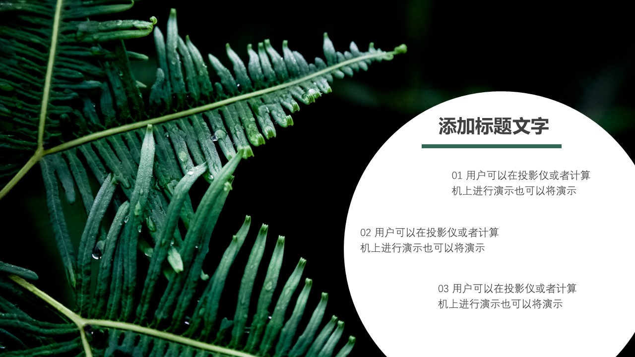 商务.PPT源文件5的PPT模板-10/28