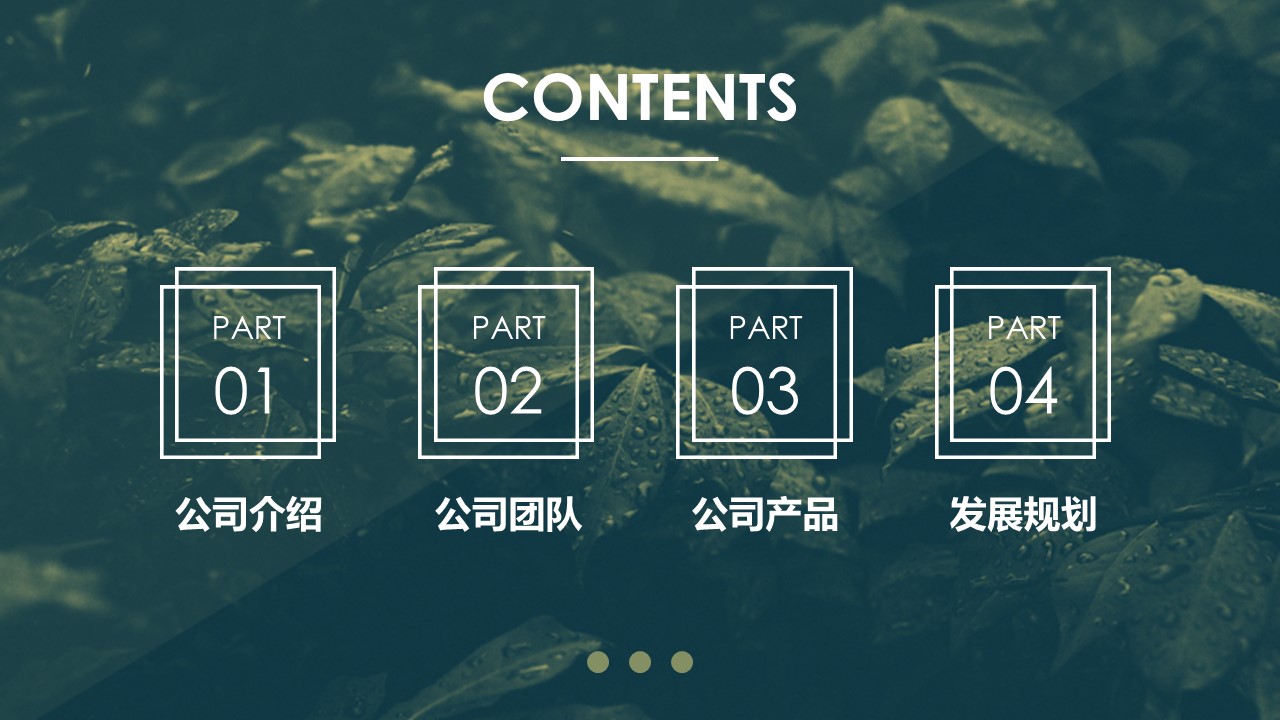 商务.PPT源文件51的PPT模板-2/30