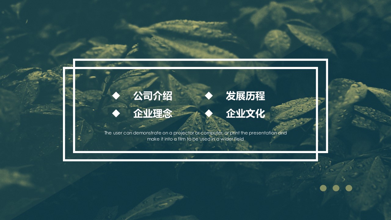 商务.PPT源文件51的PPT模板-3/30