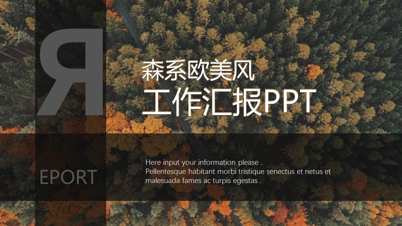 商务.PPT源文件70的PPT模板-1/27