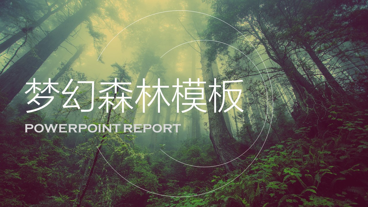 商务.PPT源文件8的PPT模板-1/29