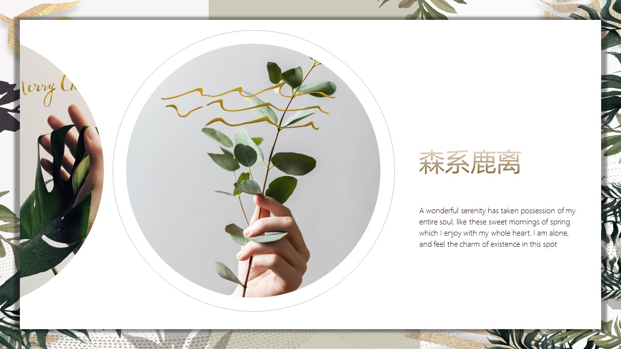 商务.PPT源文件80的PPT模板-5/30