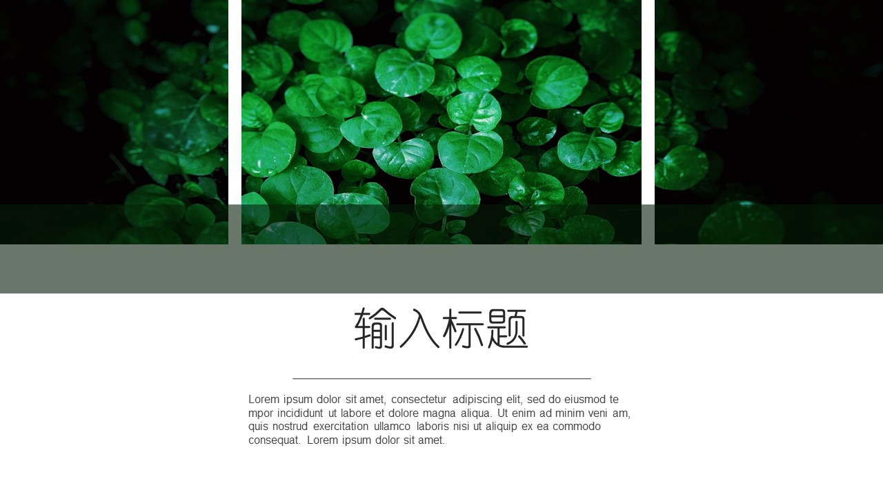 商务.PPT源文件9的PPT模板-9/30