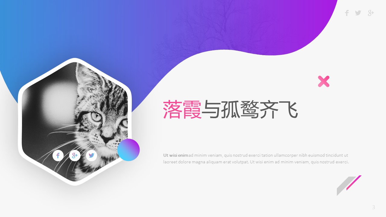 商务.的PPT模板-3/35