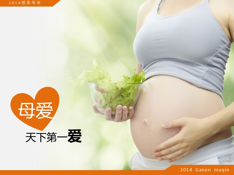 商务.母亲节献给伟大的母亲PPT的PPT模板-3/18