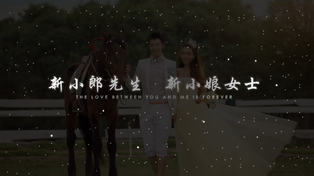 商务.婚庆生活清新婚纱——图文的PPT模板-2/15