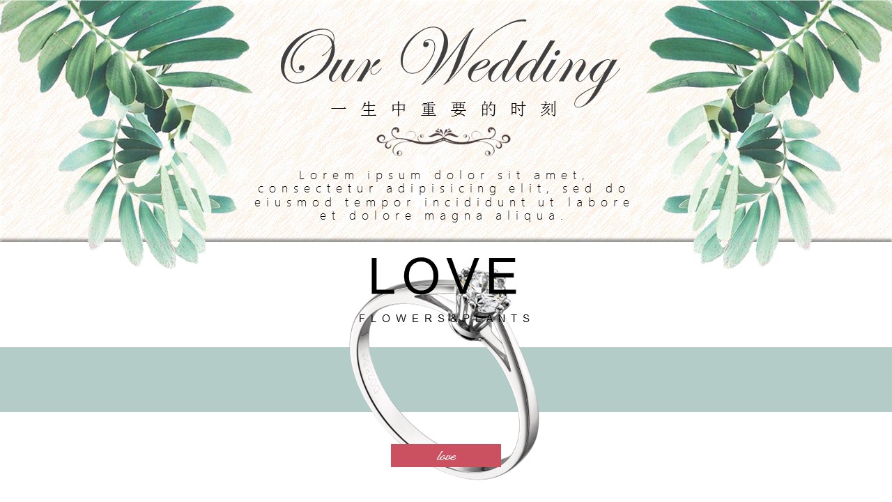 商务.婚庆生活欧式花纹婚礼——图文的PPT模板-6/31