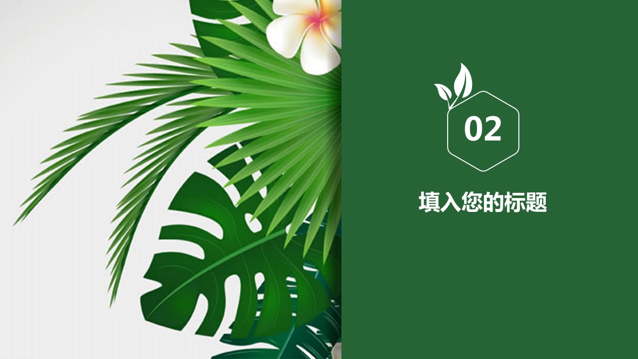商务.文艺清新清新植物ppt模板多种用途——图文的PPT模板-10/37