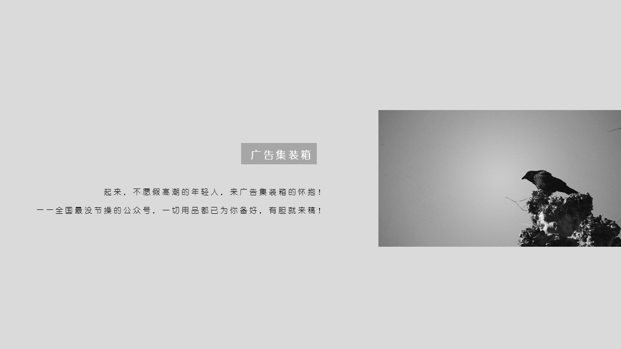 商务.创意新颖创意简约通用——图文的PPT模板-5/20