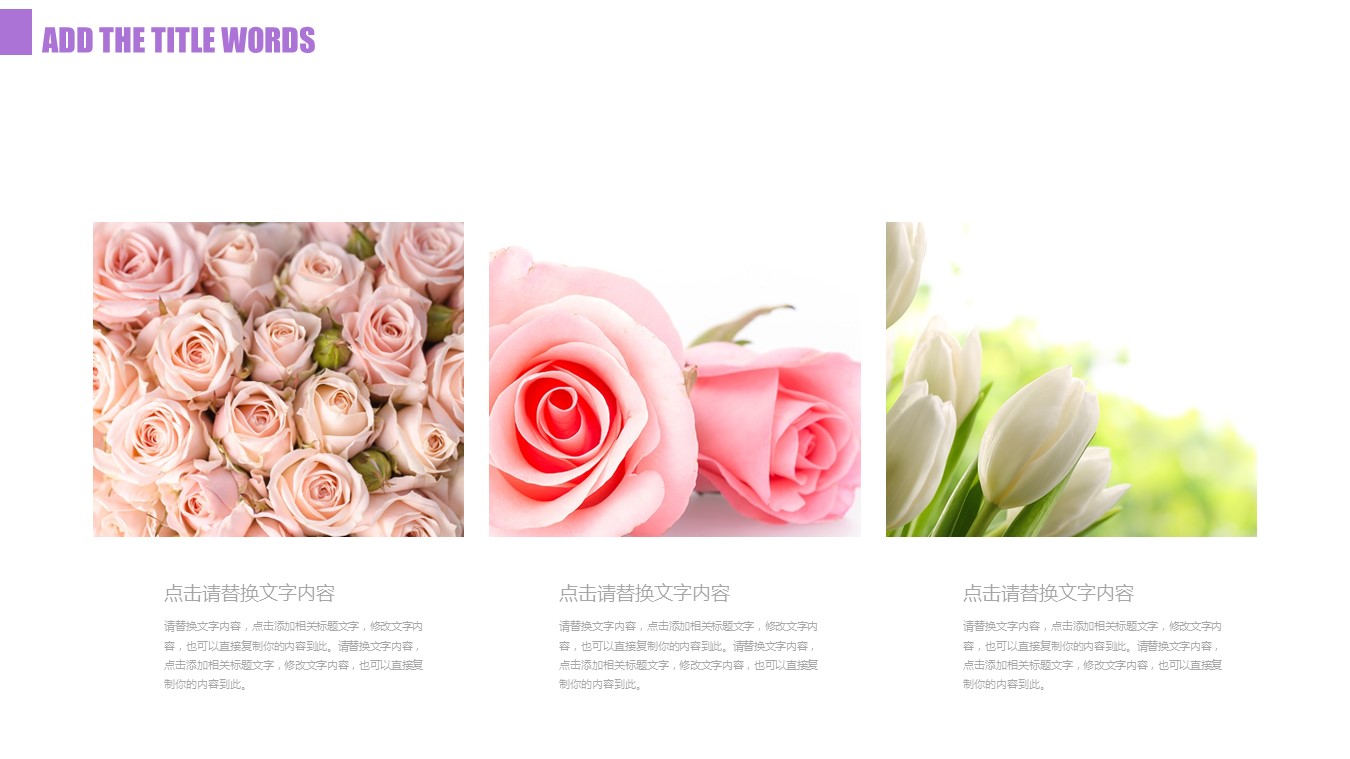 商务.总结PPT模板-图文03总结-240的PPT模板-4/27