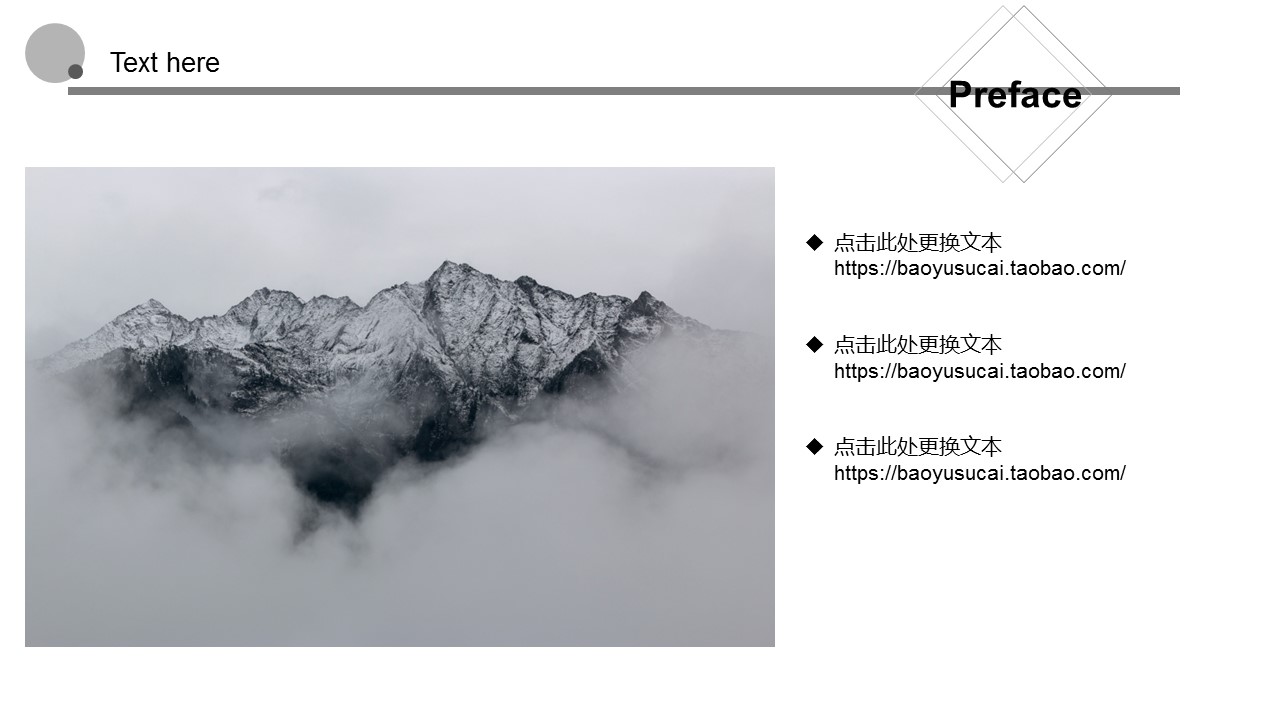 商务.总结PPT模板-图文04总结-399的PPT模板-2/30